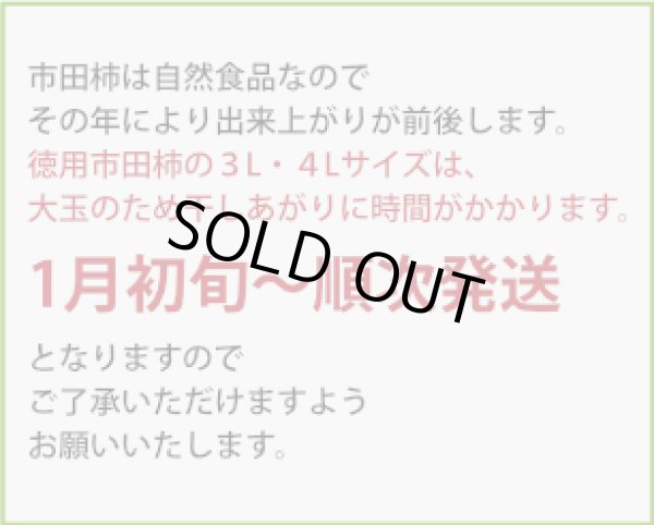 画像2: 徳用袋（バラ詰め）500g ４L（１２個位）【1月初旬から発送可能】 (2)