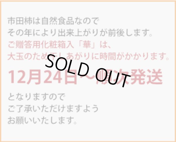 画像2: 華 3L １５個入り化粧箱【12月24日以後から発送可能】 (2)